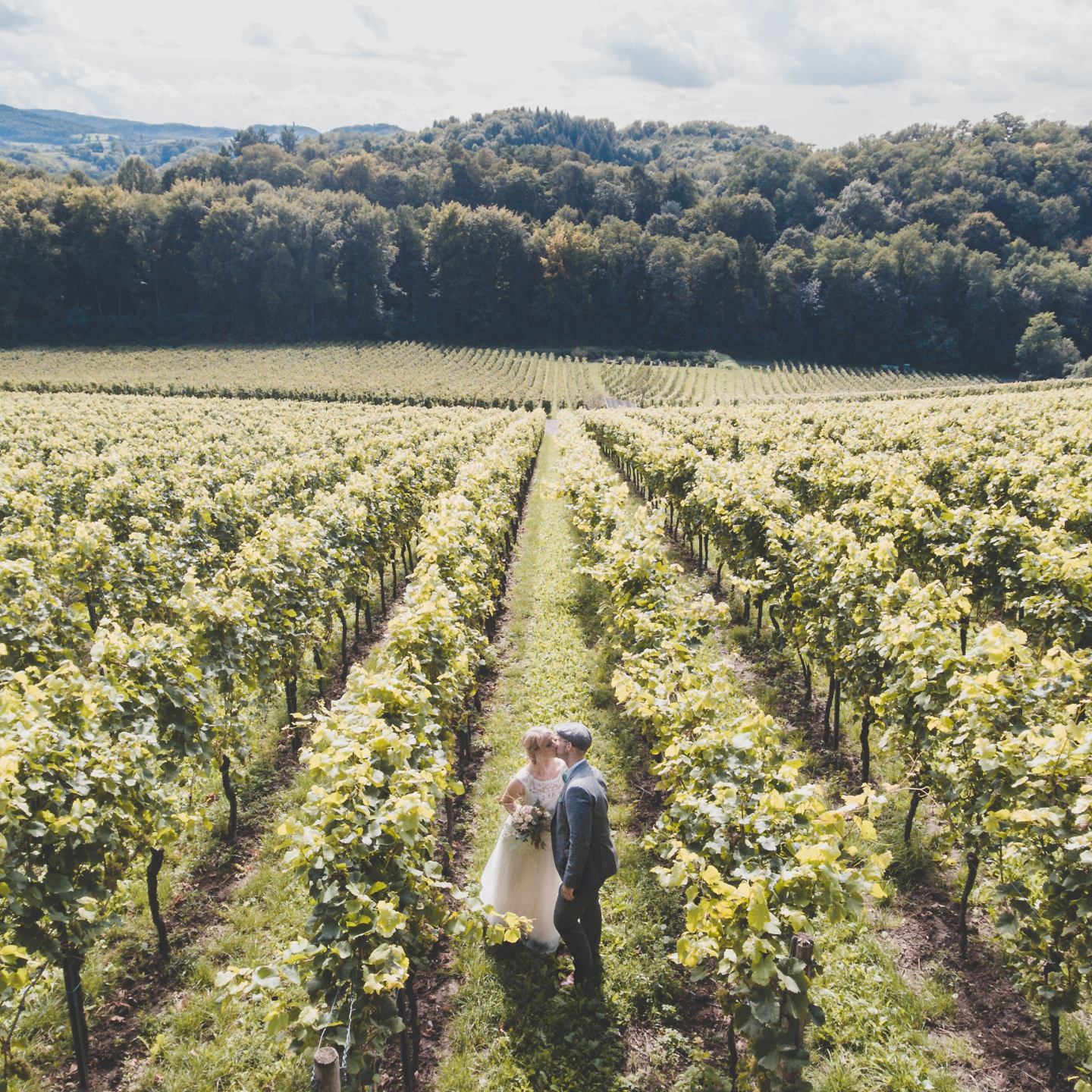 bride and groom kissing in the vineyard. Photo by marc a sporys via unsplash