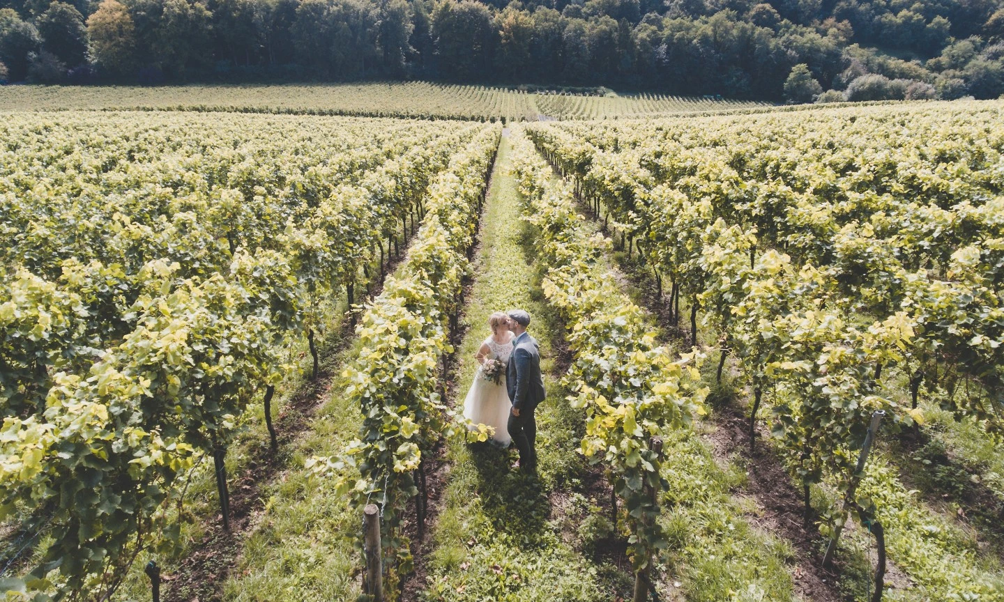 bride and groom kissing in the vineyard. Photo by marc a sporys via unsplash